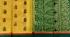 SAREES NEGAMAM WITH BLOUSE